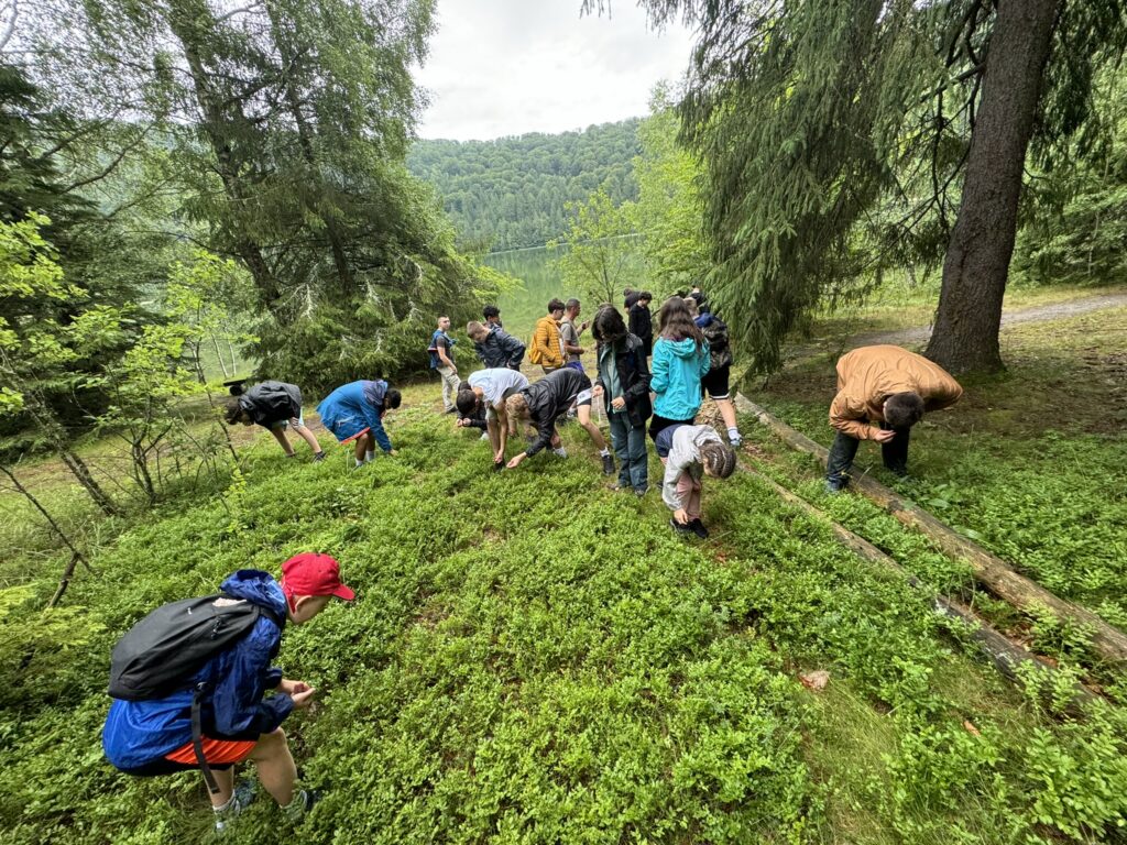 tabara-de-vara-brasov